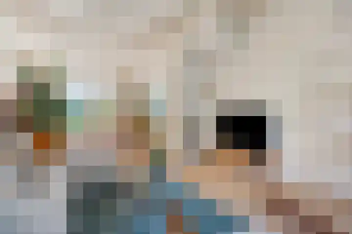 Laan 12 Schagen thumbnail 15