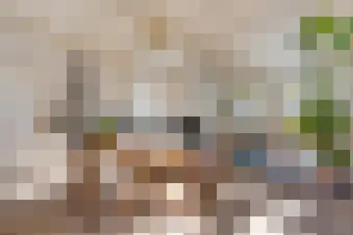 Laan 12 Schagen thumbnail 16