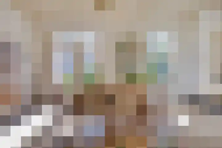 Laan 12 Schagen thumbnail 17
