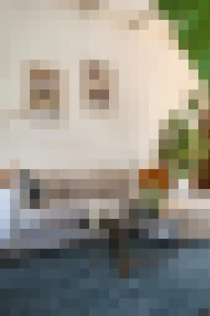 Laan 12 Schagen thumbnail 23