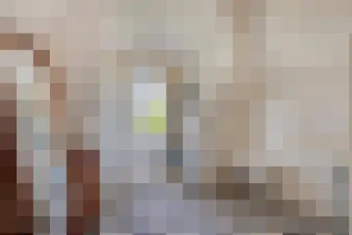 Laan 12 Schagen thumbnail 29