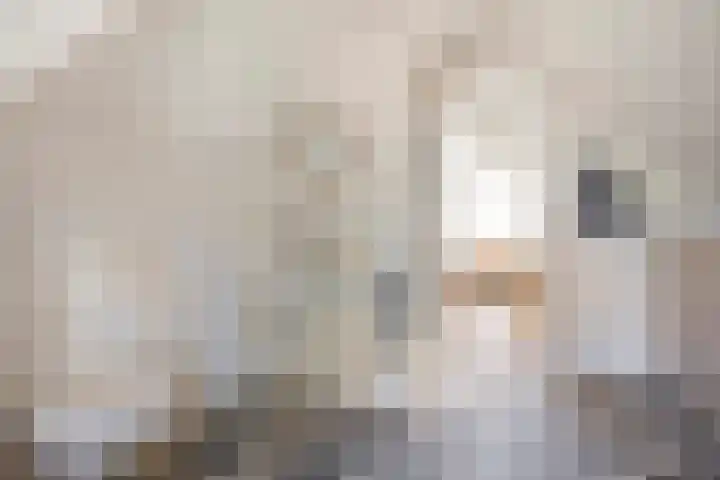 Laan 12 Schagen thumbnail 30
