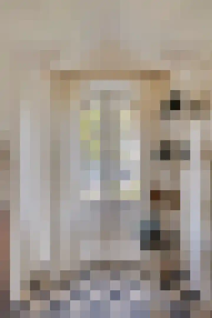 Laan 12 Schagen thumbnail 33