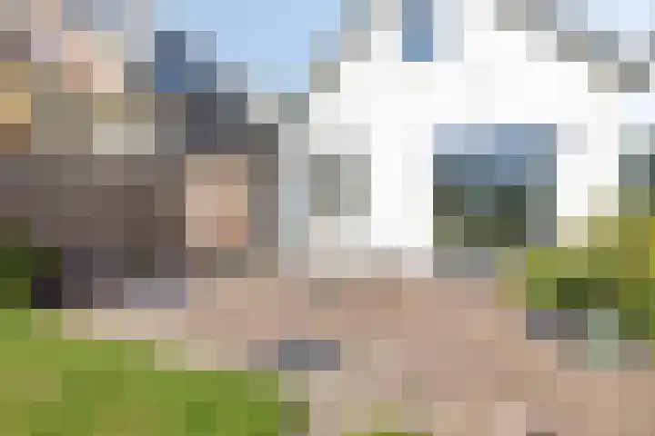 Laan 12 Schagen thumbnail 36