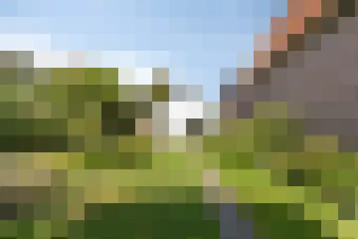 Laan 12 Schagen thumbnail 38