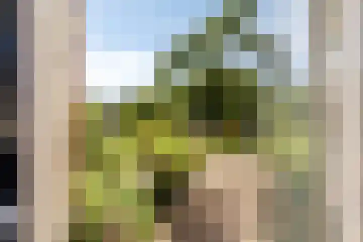 Laan 12 Schagen thumbnail 39