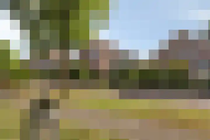 Laan 12 Schagen thumbnail 40
