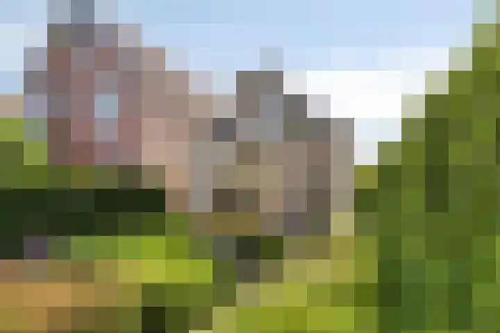 Laan 12 Schagen thumbnail 5