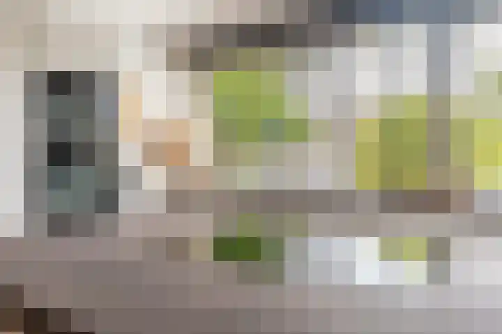 Laan 1509 1509 22 Scheemda thumbnail 10
