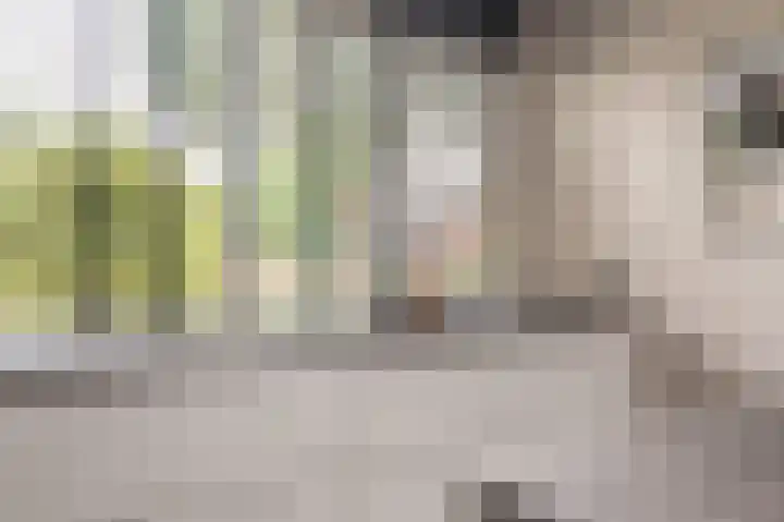 Laan 1509 1509 22 Scheemda thumbnail 11