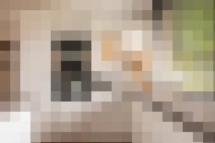 Laan 1509 1509 22 Scheemda thumbnail 12