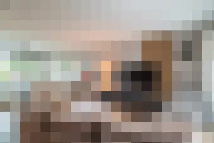 Laan 1509 1509 22 Scheemda thumbnail 15