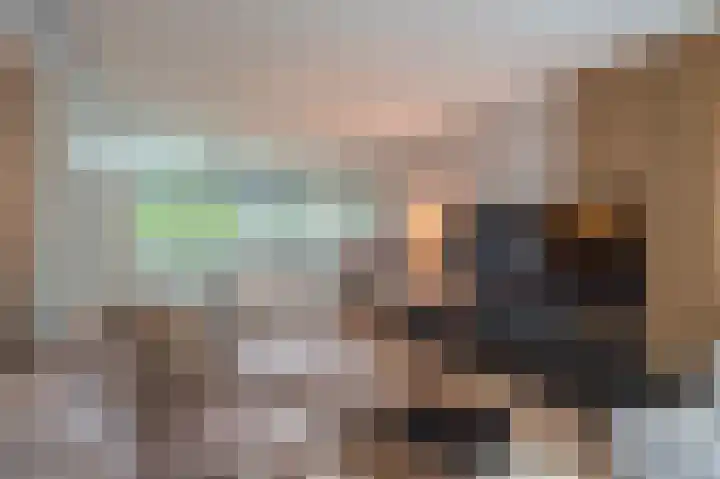 Laan 1509 1509 22 Scheemda thumbnail 16