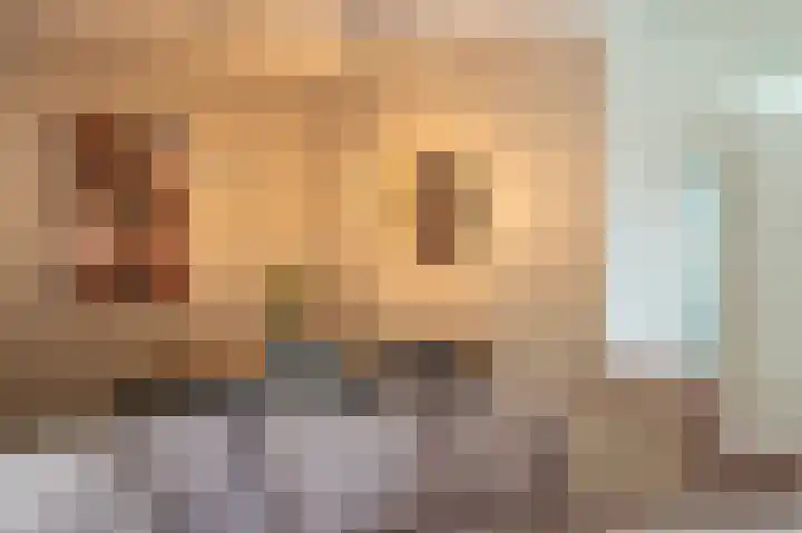 Laan 1509 1509 22 Scheemda thumbnail 18
