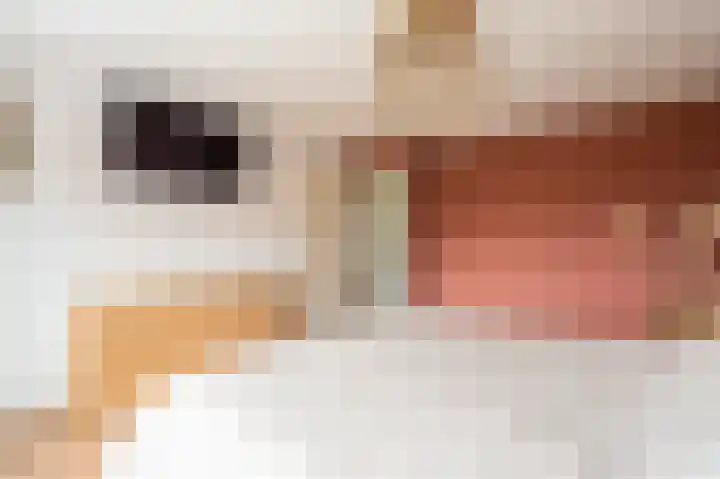 Laan 1509 1509 22 Scheemda thumbnail 27