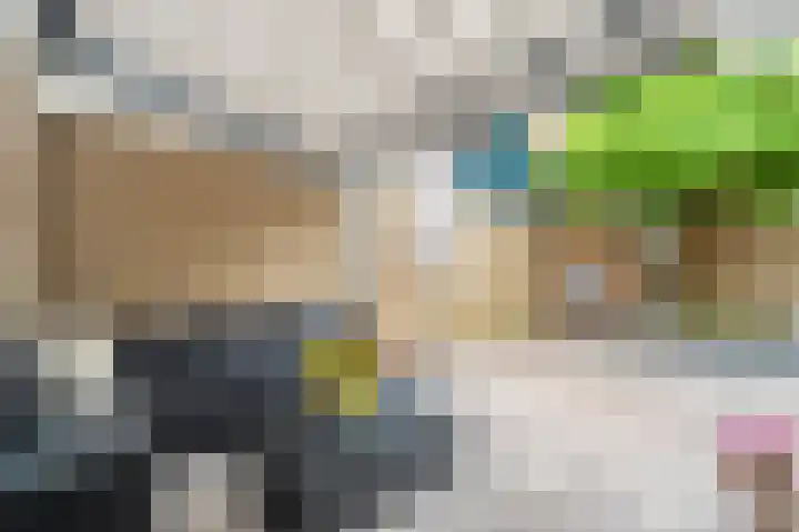Laan 1509 1509 22 Scheemda thumbnail 42