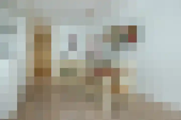 Laan 267 Den Haag thumbnail 14