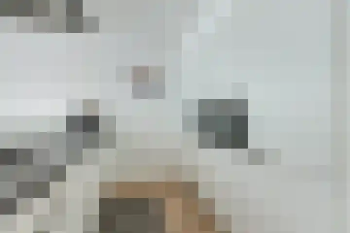 Laan 267 Den Haag thumbnail 15