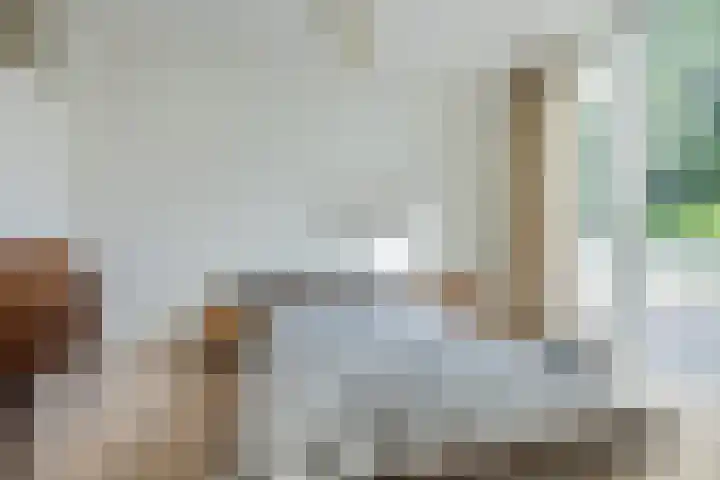 Laan 267 Den Haag thumbnail 23