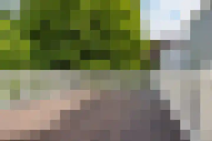 Laan 267 Den Haag thumbnail 25