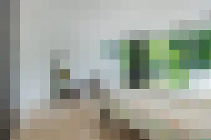 Laan 267 Den Haag thumbnail 30
