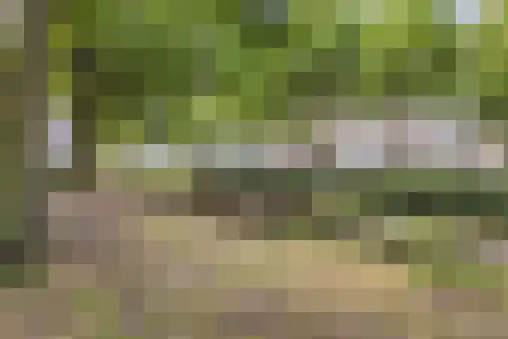 Laan 267 Den Haag thumbnail 35