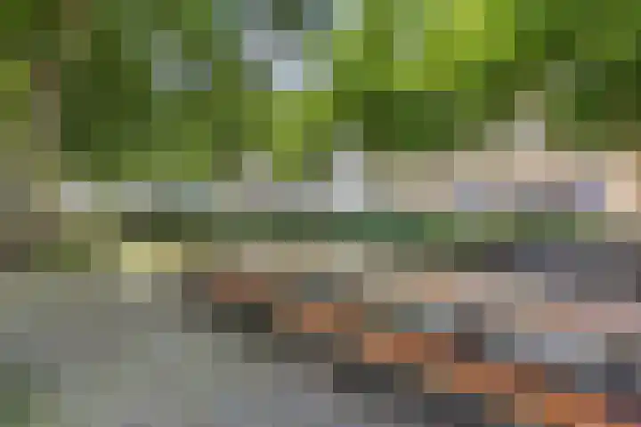 Laan 267 Den Haag thumbnail 36