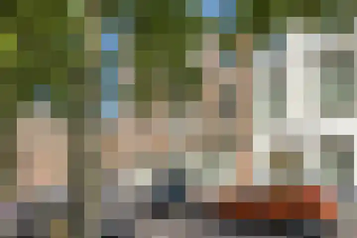 Laan 267 Den Haag thumbnail 5