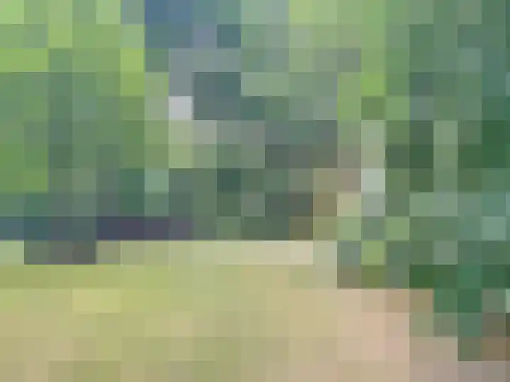 Laan 70 d Nunspeet thumbnail 28