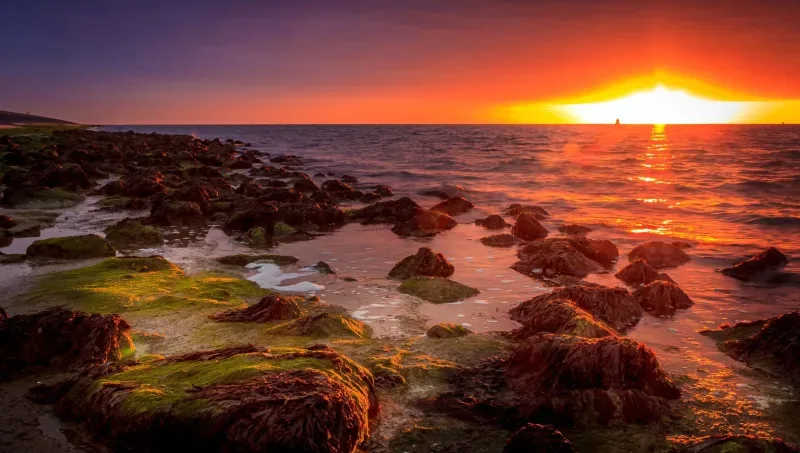 Kantoor foto van Laan Makelaars