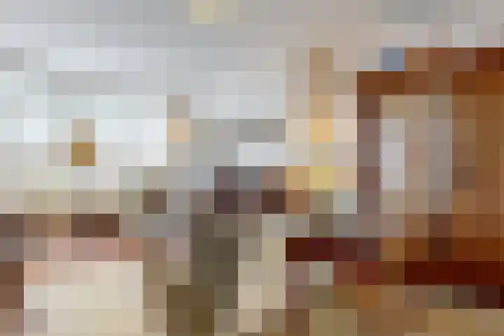 Laan van Clingendael 52 Den Haag thumbnail 8
