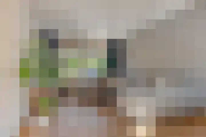 Laan van de Bork 718 Emmen thumbnail 13
