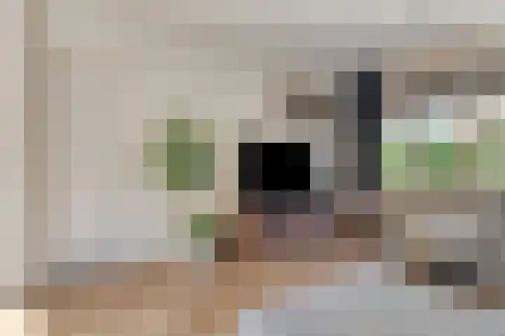 Laan van de Bork 718 Emmen thumbnail 14