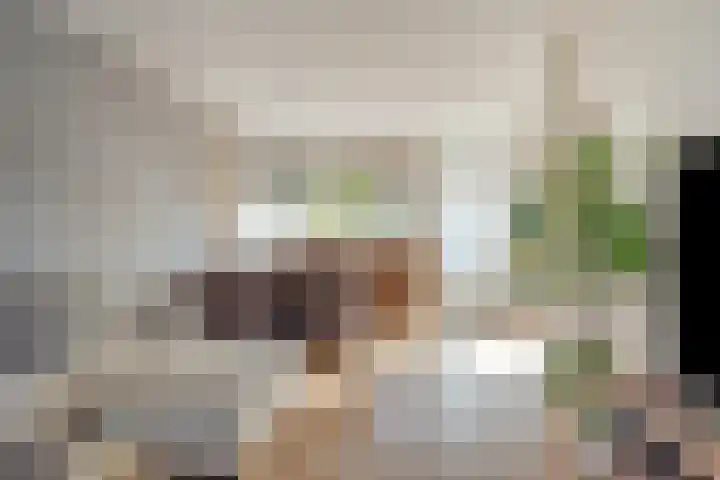 Laan van de Bork 718 Emmen thumbnail 15