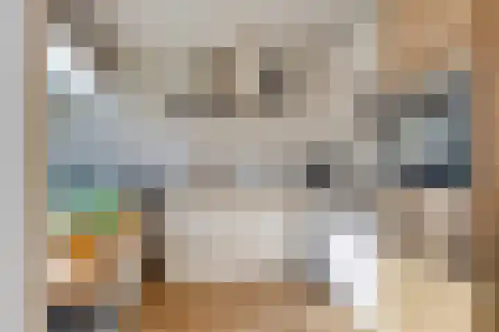 Laan van de Bork 718 Emmen thumbnail 18