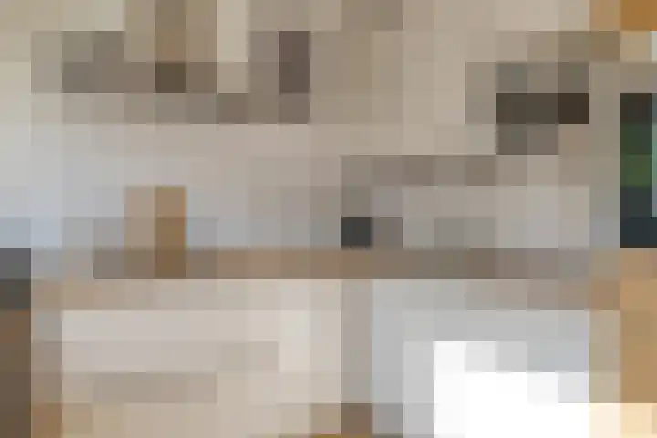 Laan van de Bork 718 Emmen thumbnail 19