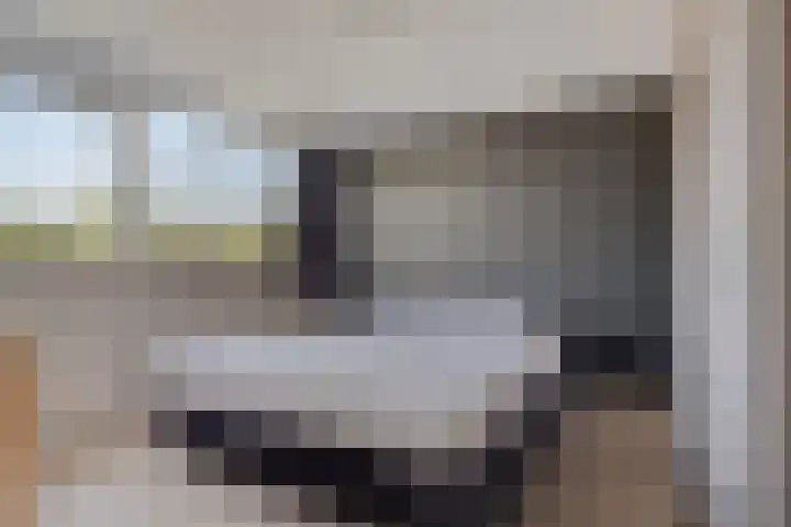 Laan van de Bork 718 Emmen thumbnail 22