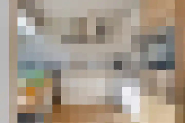 Laan van de Bork 718 Emmen foto 3