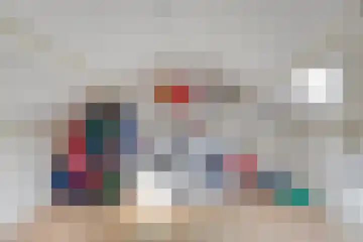 Laan van de Bork 718 Emmen thumbnail 30