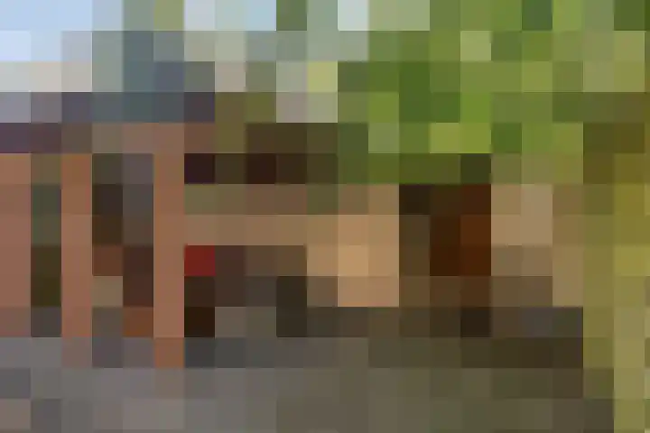 Laan van de Bork 718 Emmen thumbnail 37