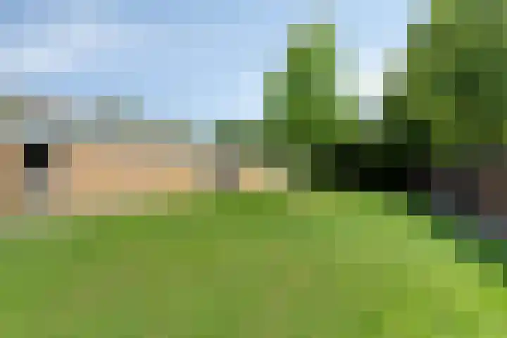 Laan van de Bork 718 Emmen thumbnail 41