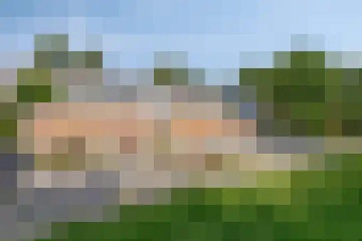 Laan van de Bork 718 Emmen thumbnail 42
