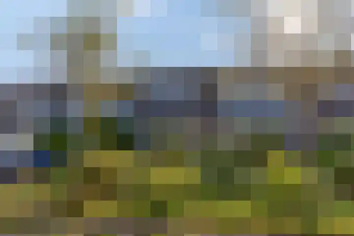 Laan van de Bork 718 Emmen thumbnail 5