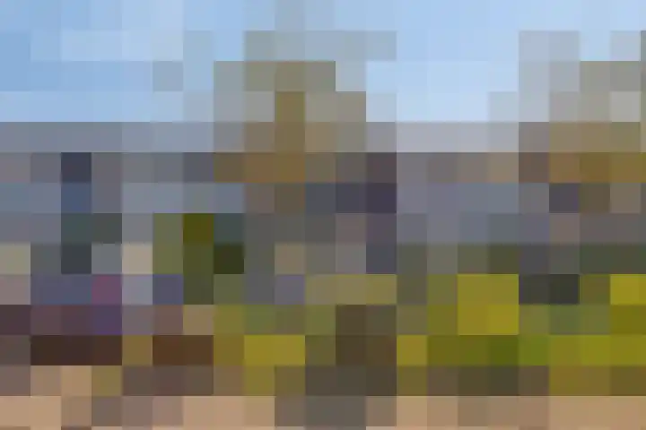 Laan van de Bork 718 Emmen thumbnail 6