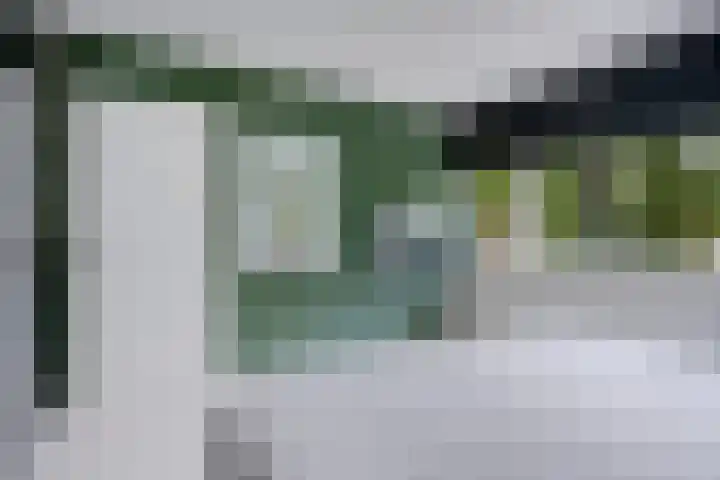 Laan van de Eekharst 19 Emmen thumbnail 21