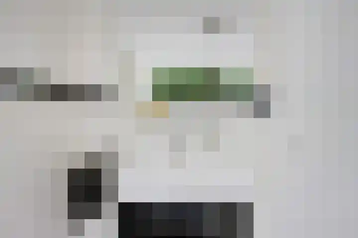 Laan van de Eekharst 19 Emmen thumbnail 25