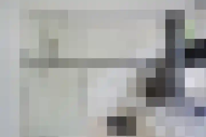 Laan van de Eekharst 19 Emmen thumbnail 26