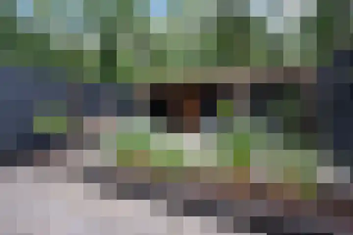 Laan van de Eekharst 19 Emmen thumbnail 29