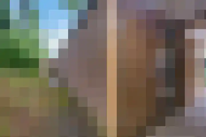 Laan van de Eekharst 19 Emmen thumbnail 36