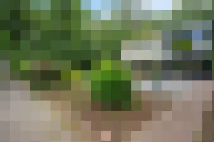 Laan van de Eekharst 19 Emmen thumbnail 38